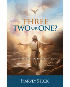 Three, Two, or One? Investigating the Trinity - Harvey Steck